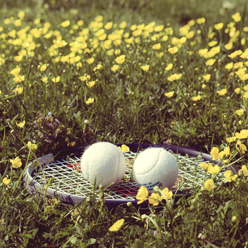 Zwei weiße Tennisbälle liegen auf einem Tennisschläger im Gras, umgeben von kleinen gelben Blumen