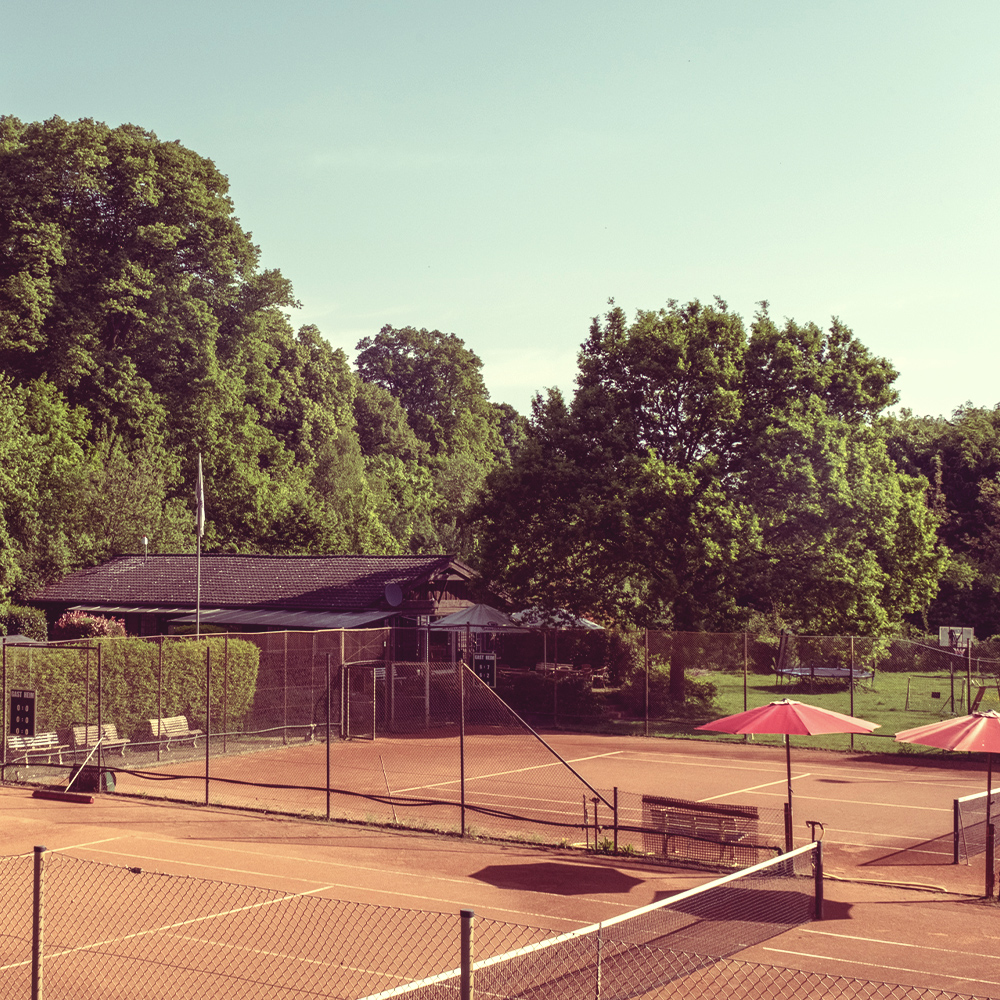 Ausblick auf einen Tennisplatz, daneben und dahinter liegen grüne Flächen